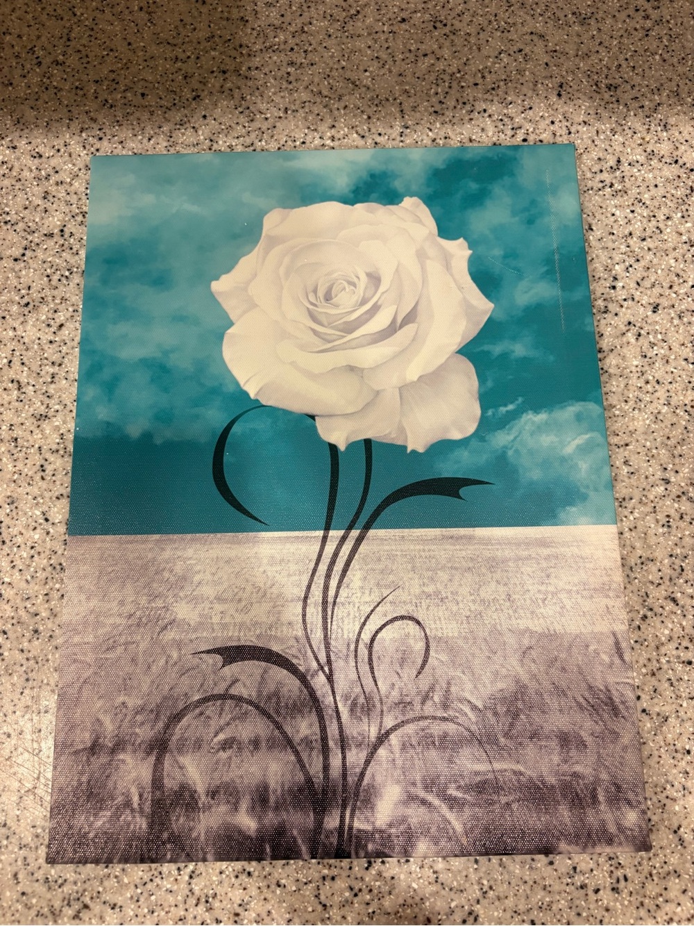Teal and white rose canvas wall art features a detailed white blossom